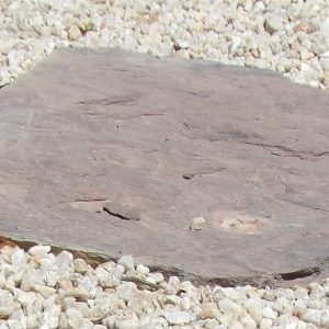 Pas japonais Schiste mauve