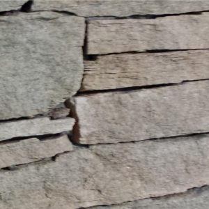 Placage Gneiss (arrière scié)