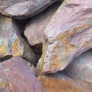 Rocaille Schiste mauve