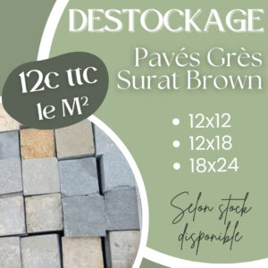 Pavés Grès Surat Brown